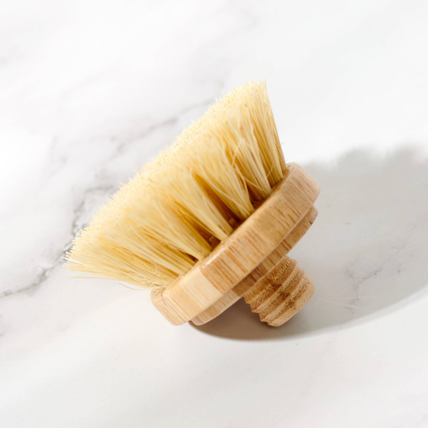 Replacement Head for Bamboo Dish Scrubbing Brushes