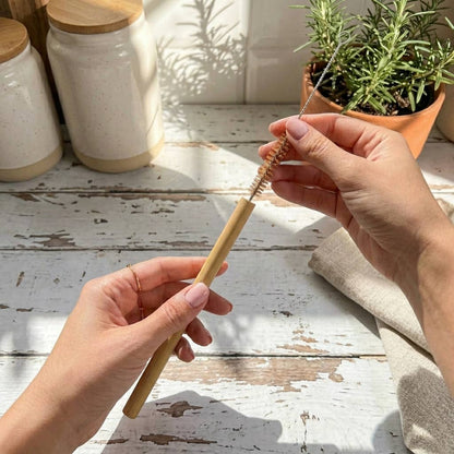 Coconut Fiber Plastic Free Straw Cleaner