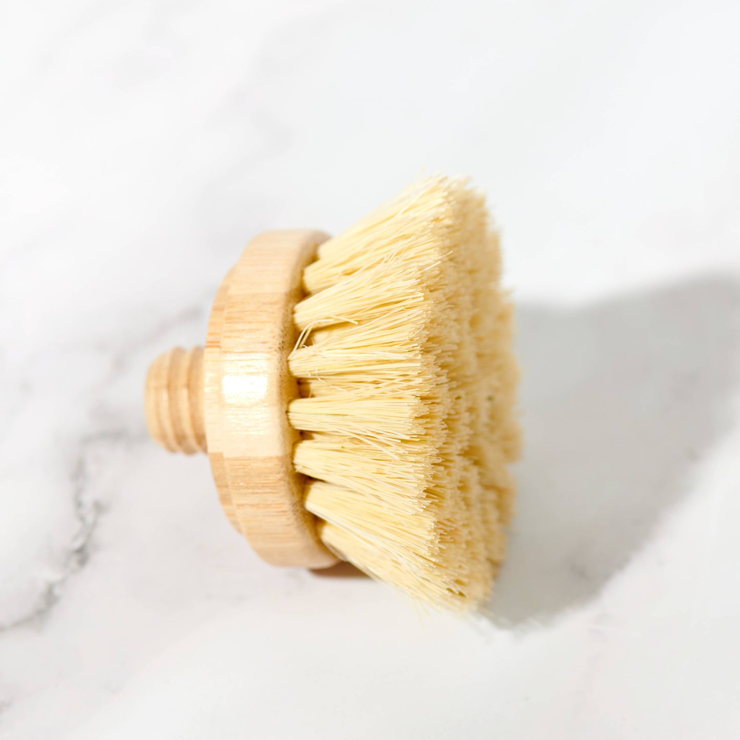 Replacement Head for Bamboo Dish Scrubbing Brushes