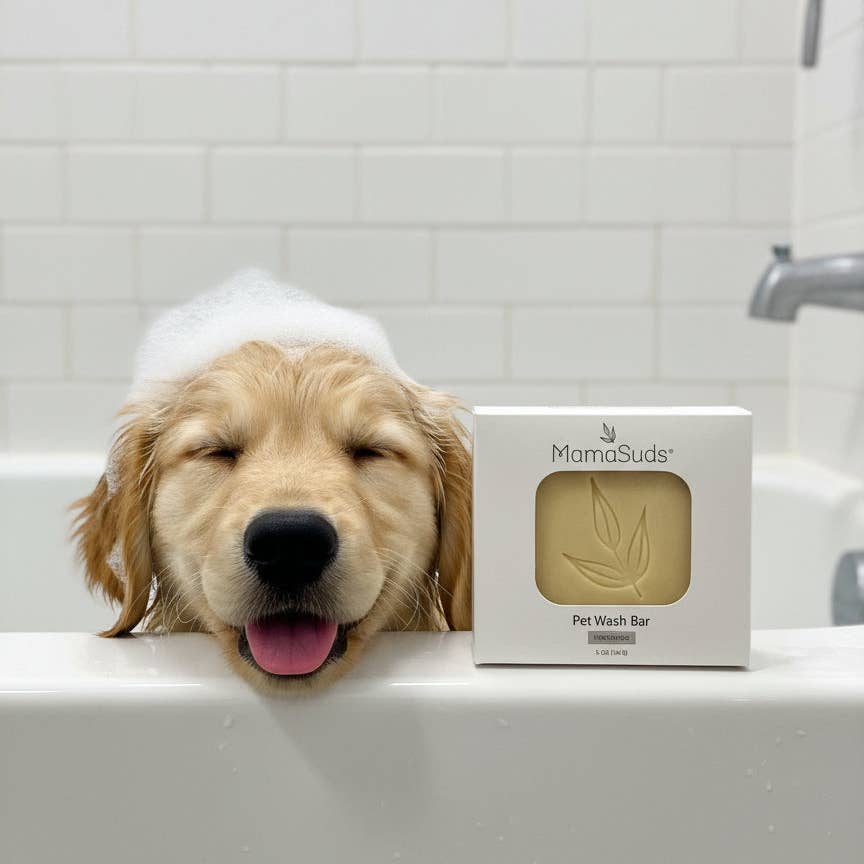 Pet Wash Bar