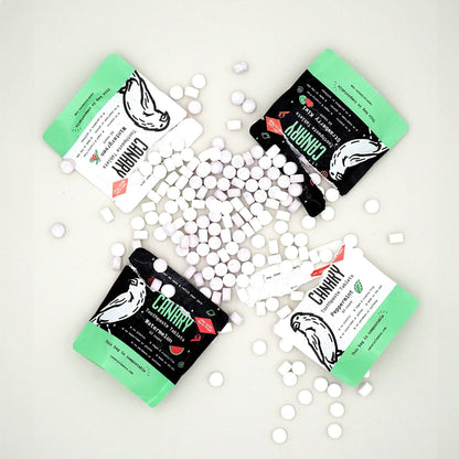 Bulk Toothpaste Tablets